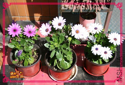 ��Ƭ 013_����.jpg