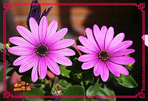 ��Ƭ 014_����.jpg