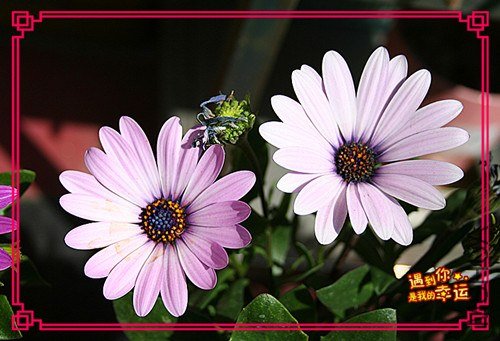 ��Ƭ 015_����.jpg