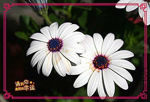 ��Ƭ 016_����.jpg