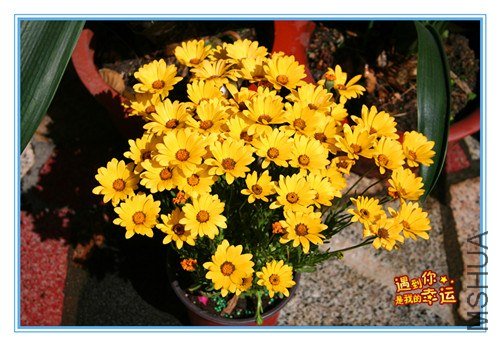 ��Ƭ 018_����.jpg