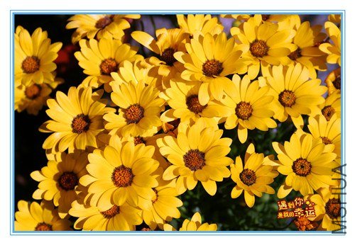 ��Ƭ 019_����.jpg