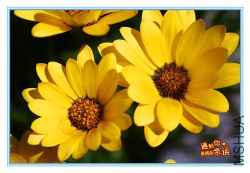 ��Ƭ 021_����.jpg