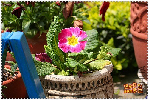 ��Ƭ 126_����.jpg