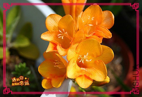 ��Ƭ 011_����.jpg