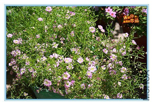 ��Ƭ 030_����.jpg