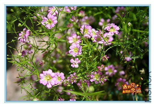 ��Ƭ 031_����.jpg