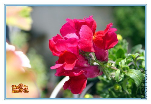 ��Ƭ 055_����.jpg