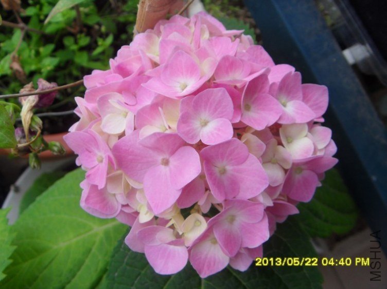 QQ��ͼ20130522182025.jpg