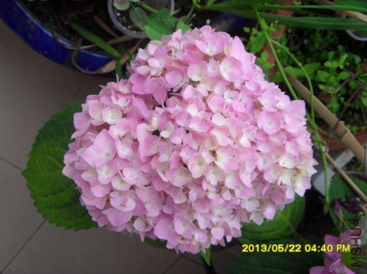 QQ��ͼ20130522182010.jpg