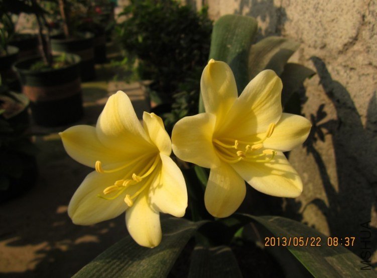 QQͼƬ20130522151710.jpg