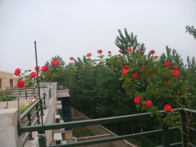 DSC06888.JPG
