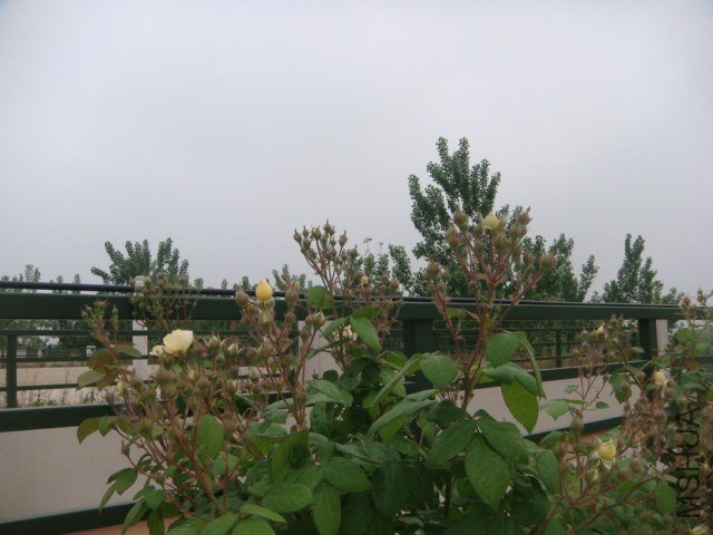 DSC06897.JPG