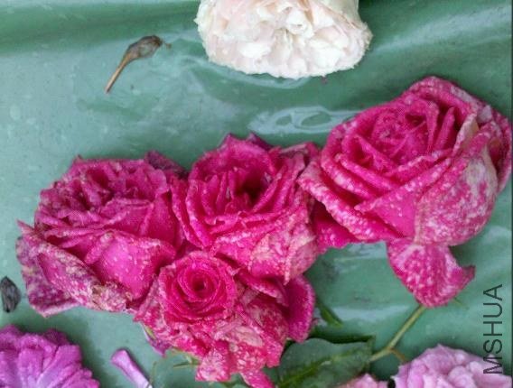 ������ͼ����Һýⶾ�˰ɡ�����