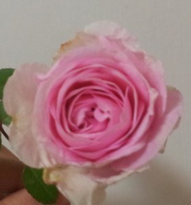 QQͼƬ20130522223711.jpg