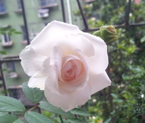 QQͼƬ20130522223719.jpg