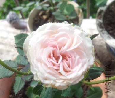 QQͼƬ20130522223728.jpg