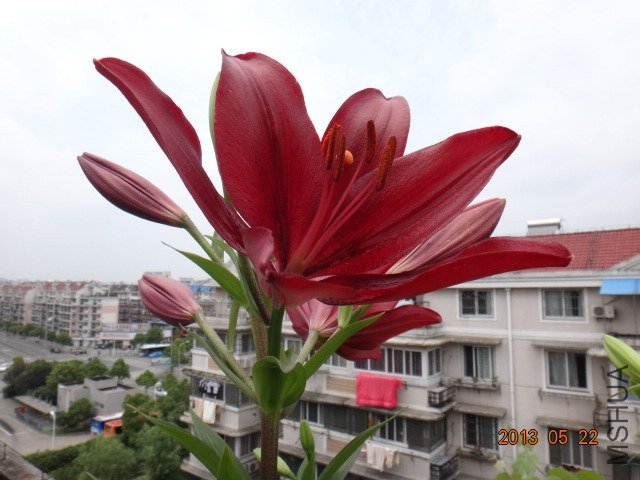 DSC07273.JPG