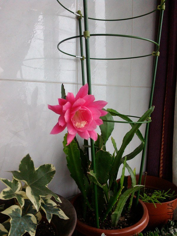 �ۻ����01_����.jpg