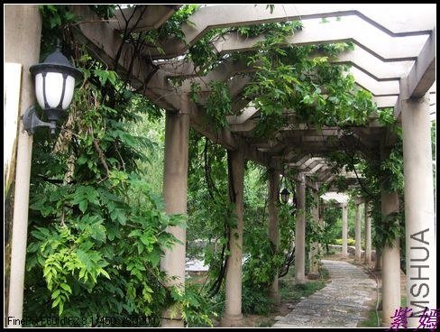 ���Ѽ���