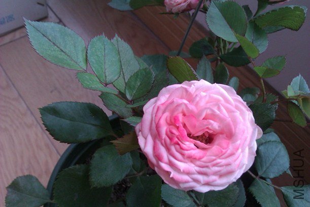 IMAG0188.jpg