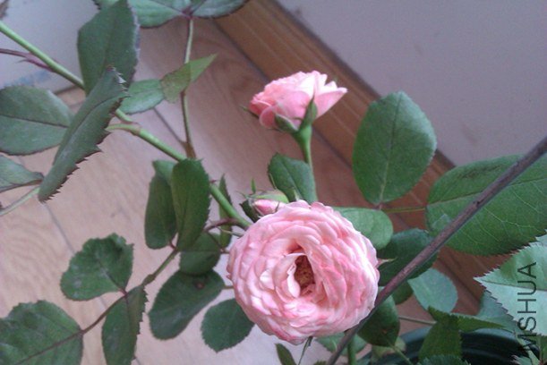 IMAG0189.jpg