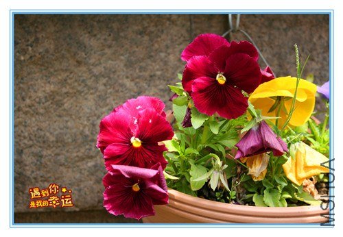 ��Ƭ 113_����.jpg