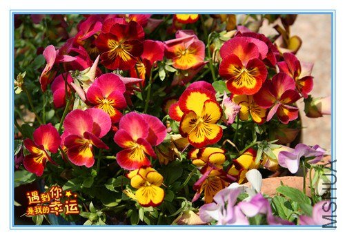 ��Ƭ 125_����.jpg