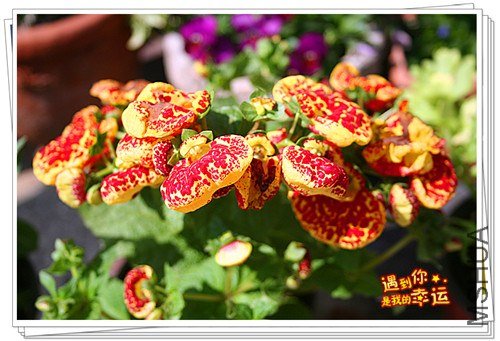 ��Ƭ 052_����.jpg