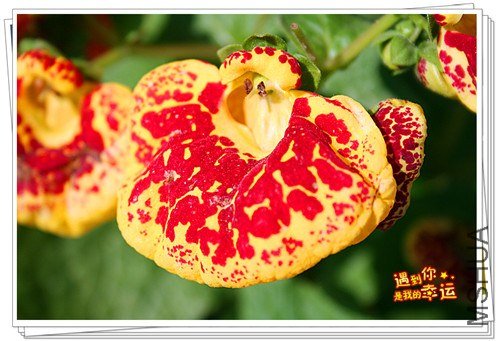 ��Ƭ 055_����.jpg