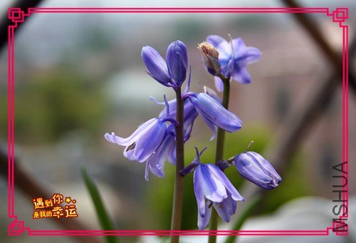 ��Ƭ 028_����.jpg