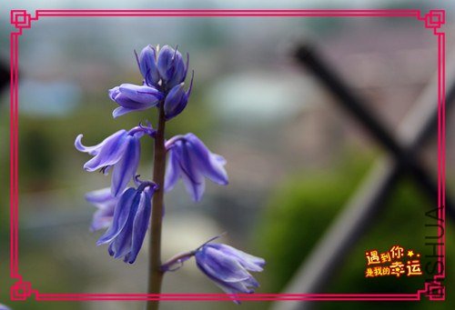 ��Ƭ 029_����.jpg