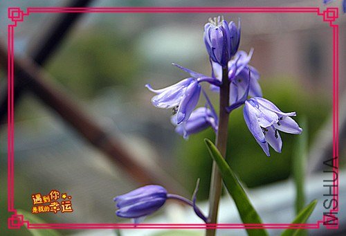 ��Ƭ 030_����.jpg