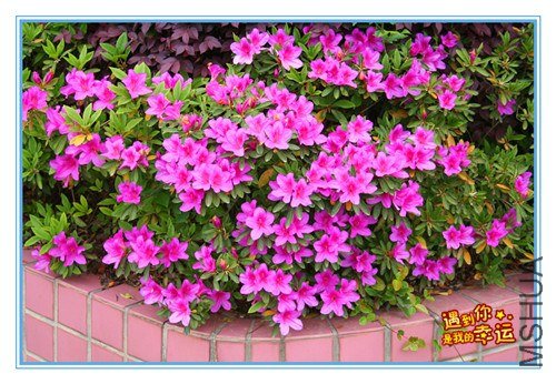 ��Ƭ 071_����.jpg