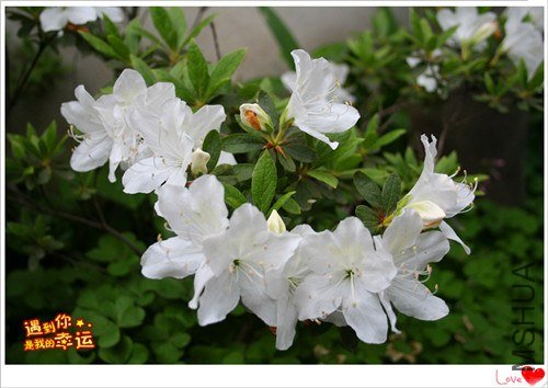 ��Ƭ 046_����.jpg