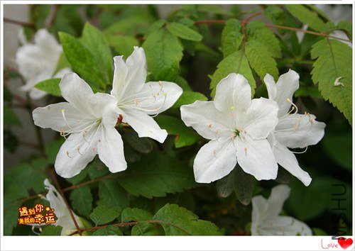 ��Ƭ 049_����.jpg