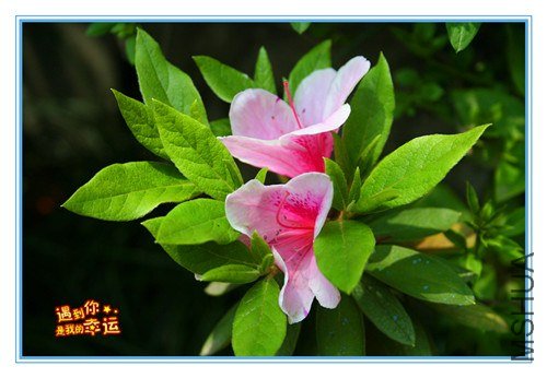 ��Ƭ 054_����.jpg