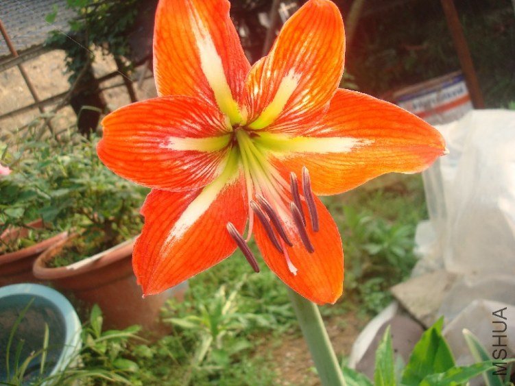 DSC05763.JPG