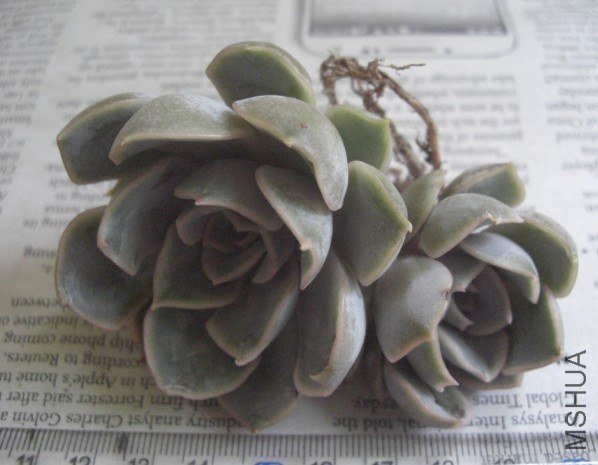 QQͼƬ20130524004641.jpg