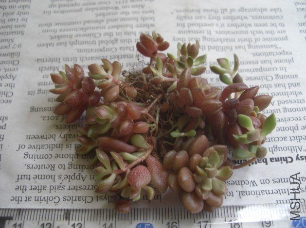 QQͼƬ20130524004706.jpg