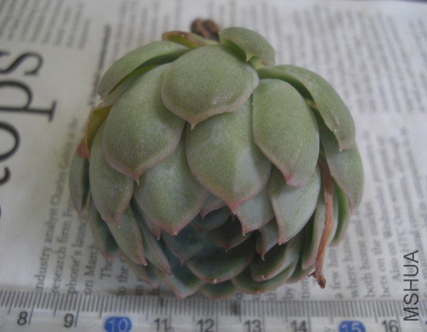 QQͼƬ20130524004718.jpg