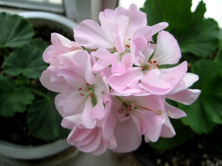 ��Ƭ 089_����.jpg