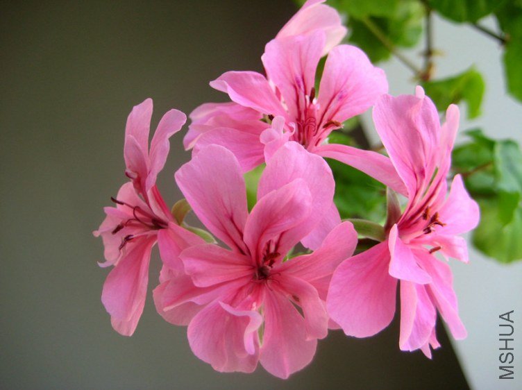 ��Ƭ 010_����.jpg