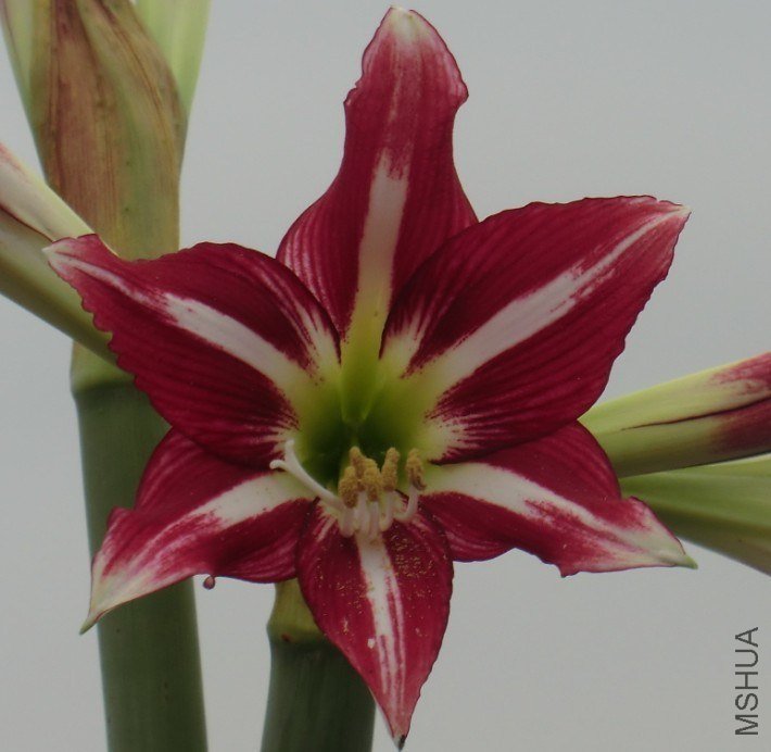 QQͼƬ20130523193619.jpg