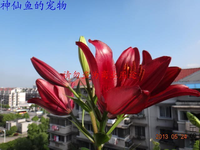 nEO_IMG_DSC07284.jpg