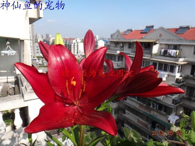 nEO_IMG_DSC07282.jpg