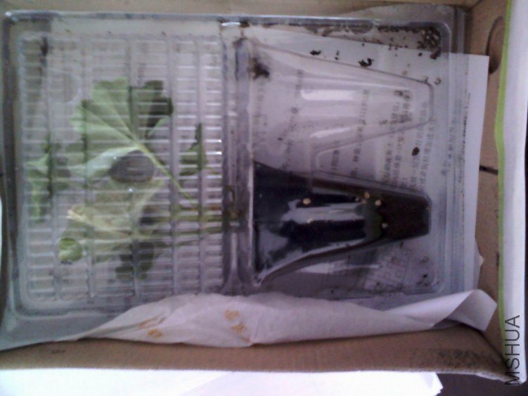 YP20130317101724.jpeg