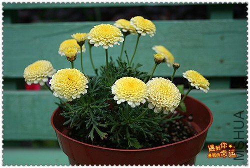 ��Ƭ 024a_����.jpg