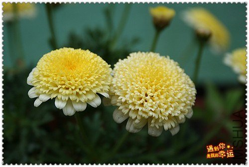 ��Ƭ 024c_����.jpg