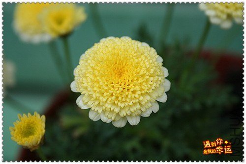 ��Ƭ 024d_����.jpg